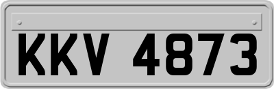 KKV4873