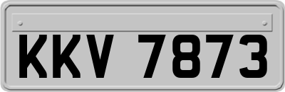 KKV7873
