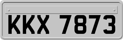 KKX7873
