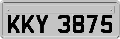 KKY3875