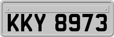 KKY8973