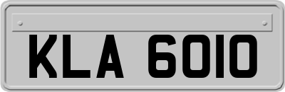 KLA6010