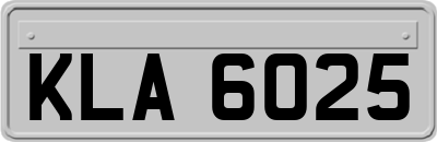 KLA6025