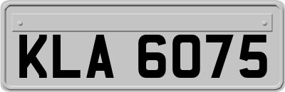 KLA6075