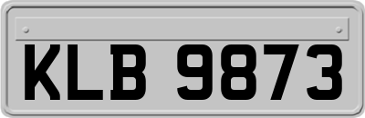 KLB9873