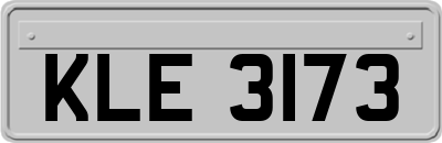 KLE3173