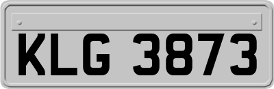 KLG3873
