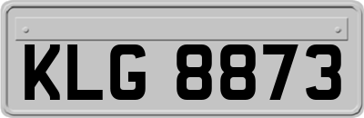 KLG8873