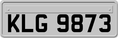 KLG9873