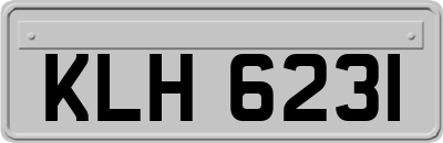 KLH6231