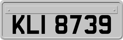 KLI8739