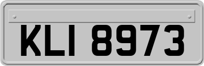 KLI8973