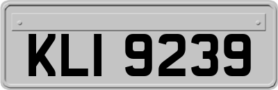 KLI9239