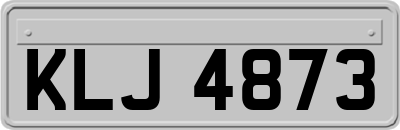 KLJ4873