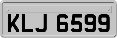KLJ6599
