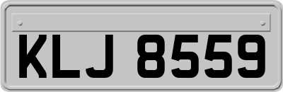 KLJ8559