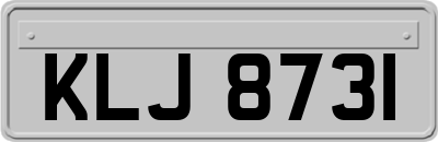 KLJ8731