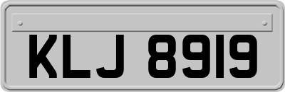 KLJ8919