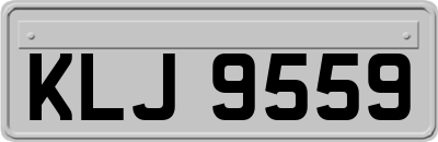 KLJ9559