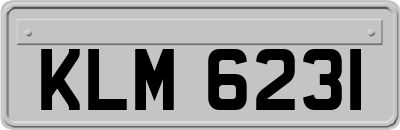 KLM6231