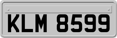 KLM8599