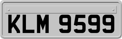 KLM9599