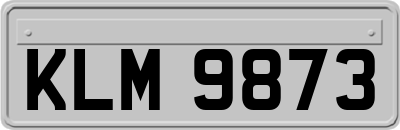 KLM9873