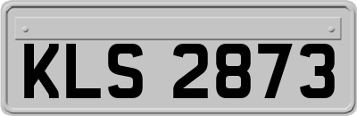KLS2873