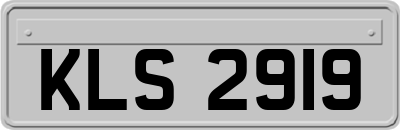 KLS2919