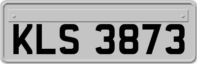 KLS3873