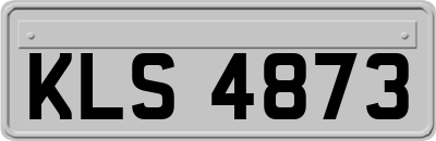 KLS4873