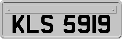 KLS5919