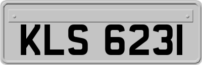 KLS6231