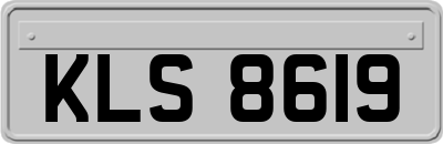 KLS8619