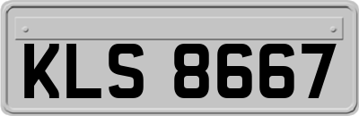 KLS8667