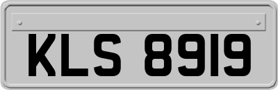 KLS8919