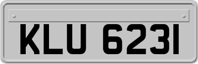KLU6231