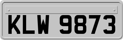 KLW9873