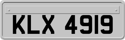 KLX4919