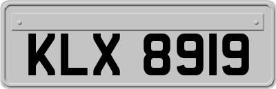 KLX8919