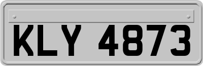 KLY4873