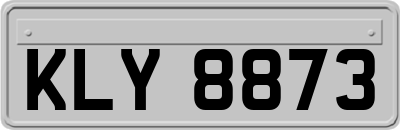 KLY8873