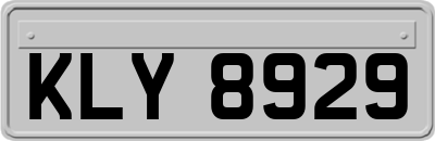 KLY8929
