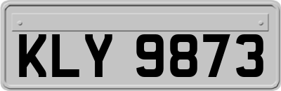 KLY9873