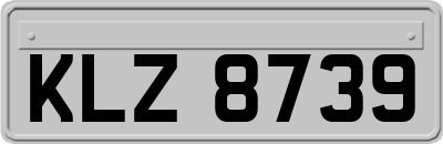 KLZ8739