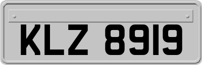 KLZ8919