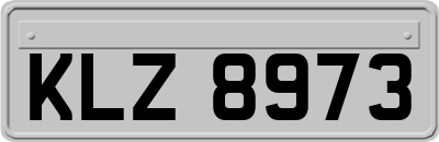 KLZ8973
