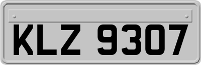 KLZ9307