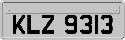 KLZ9313
