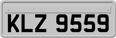 KLZ9559